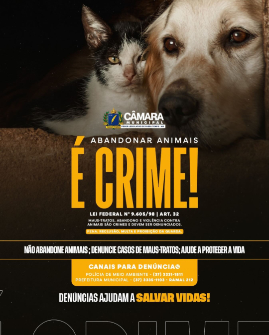 O abandono e os maus-tratos contra animais são crimes previstos em lei